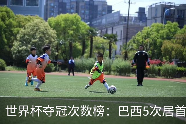 世界杯夺冠次数榜：巴西5次居首，西班牙2次升至并列第五