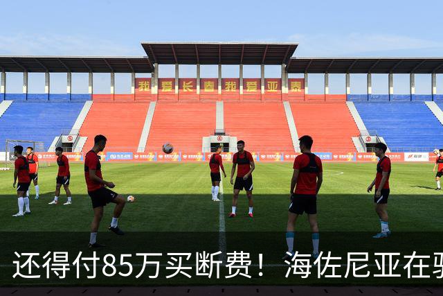 还得付85万买断费！海佐尼亚在骑士年薪280万美元 远不如皇马时期